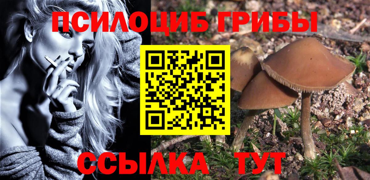 Галлюциногенные грибы GOLDEN TEACHER Лесной
